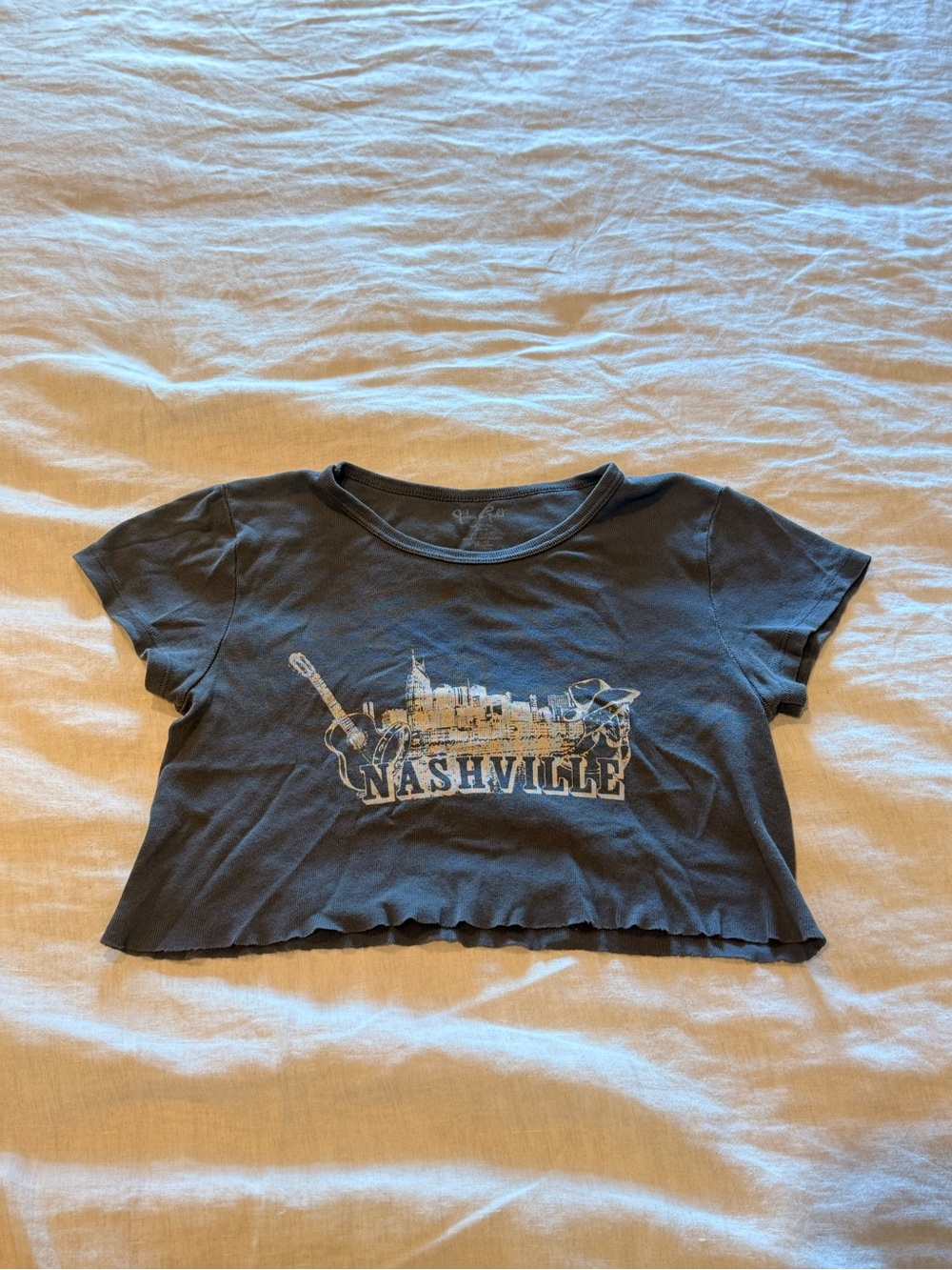 Brandy Melville John Galt Nashville Graphic Cropped Tee - dark grey